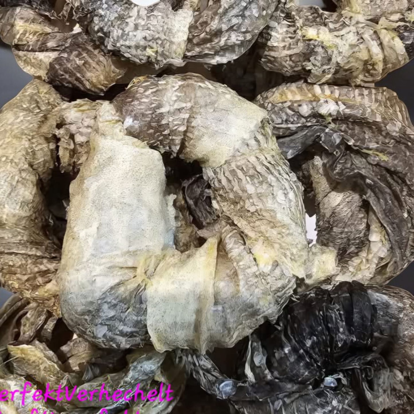 🐟 DorschDonuts 🐟