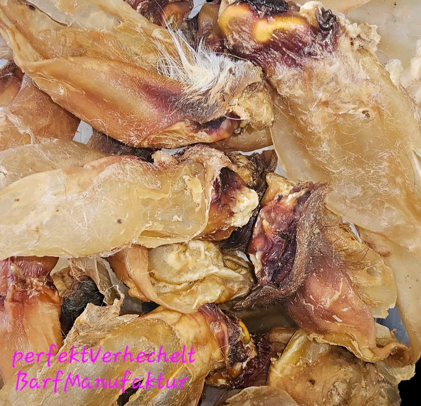 Rinderohr mit Muschel