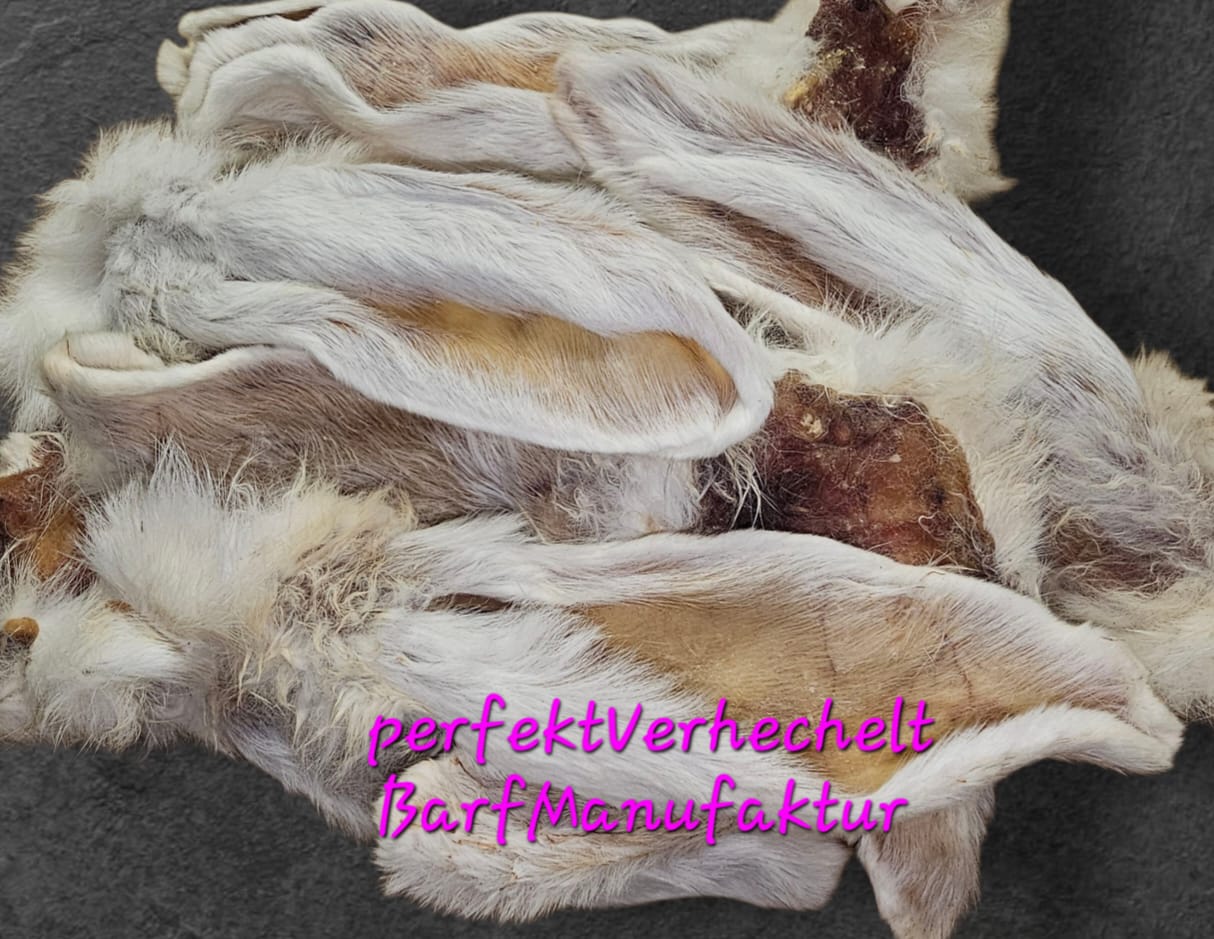 🐰 Kaninchen Ohren mit Fell 🐰