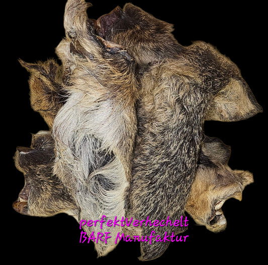 🦌🌲Rehohren mit Fell & Muschel 🦌🌲